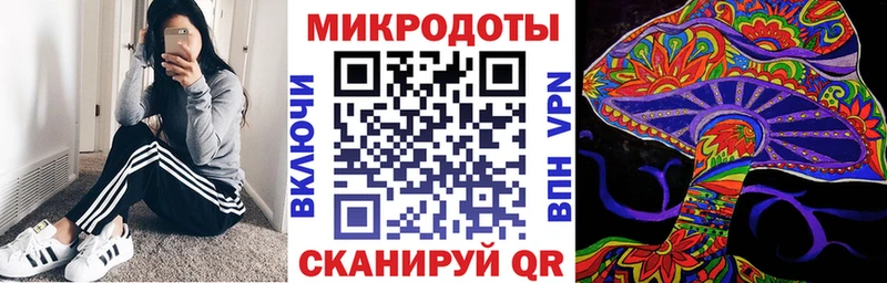 Галлюциногенные грибы Psilocybe  где продают   Тогучин 